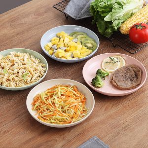 JY24438 - Ceramic Dinner Plates Set of 6, 10 inch Dish Set