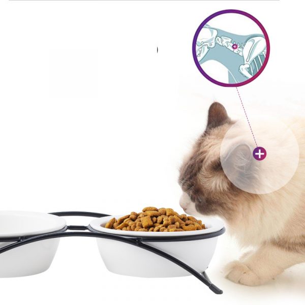 JY24430 - 5.35" Elevated Cat Bowls with 2 Ceramic Bowls and 2 Stainless Steel Bowls