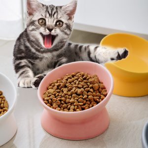 JY24433 - Cat Food Bowl, 5 Oz Ceramic Raised and Tilted Water Bowl